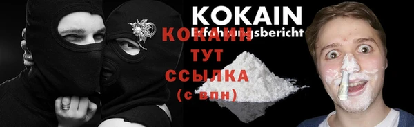 кокс Алексин