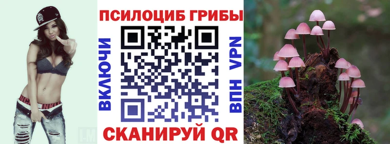 Галлюциногенные грибы Magic Shrooms  купить наркоту  ОМГ ОМГ ТОР  Заозёрный 